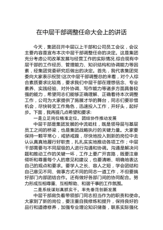 在中层干部调整任命大会上的讲话