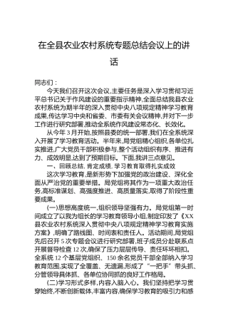 在全县农业农村系统专题总结会议上的讲话