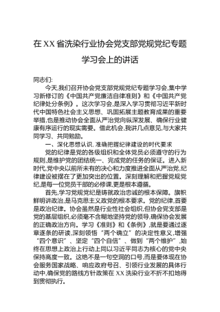 在XX省洗染行业协会党支部党规党纪专题学习会上的讲话