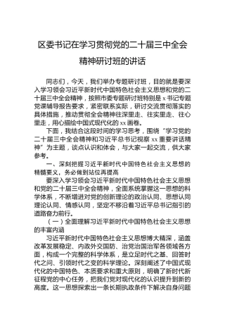 区委书记在学习贯彻党的二十届三中全会精神研讨班的讲话