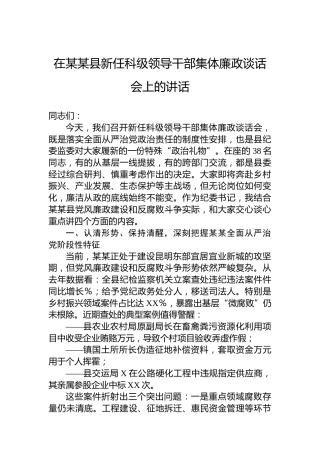 在某某县新任科级领导干部集体廉政谈话会上的讲话
