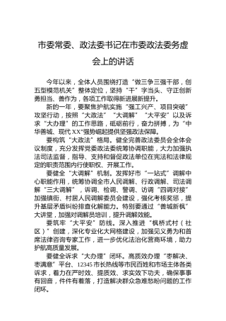 市委常委、政法委书记在市委政法委务虚会上的讲话