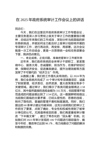 在2025年政府系统审计工作会议上的讲话