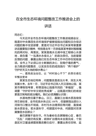 在全市生态环境问题整改工作推进会上的讲话
