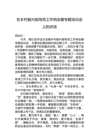 在乡村振兴指导员工作例会暨专题培训会上的讲话