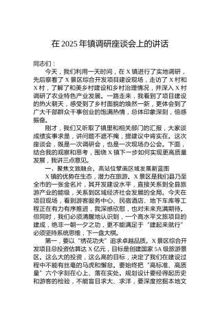在2025年镇调研座谈会上的讲话