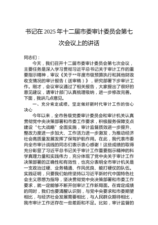 书记在2025年十二届市委审计委员会第七次会议上的讲话