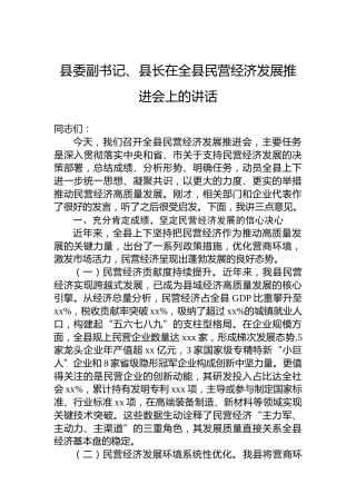 县委副书记、县长在全县民营经济发展推进会上的讲话