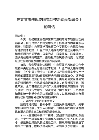 在某某市违规吃喝专项整治动员部署会上的讲话