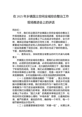 在2025年乡镇国土空间全域综合整治工作现场推进会上的讲话