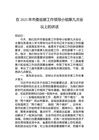 在2025年市委巡察工作领导小组第九次会议上的讲话
