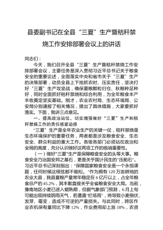 县委副书记在全县“三夏”生产暨秸秆禁烧工作安排部署会议上的讲话