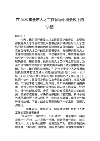 在2025年全市人才工作领导小组会议上的讲话