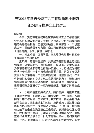 在2025年新兴领域工会工作暨新就业形态组织建设推进会上的讲话