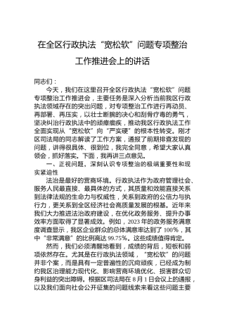 在全区行政执法“宽松软”问题专项整治工作推进会上的讲话