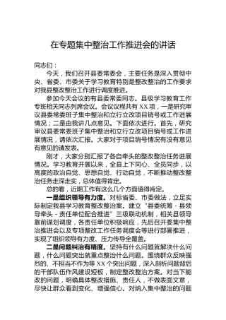 在专题集中整治工作推进会的讲话