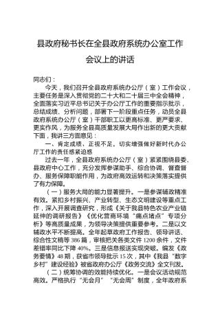 县政府秘书长在全县政府系统办公室工作会议上的讲话