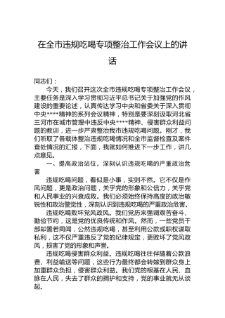 在全市违规吃喝专项整治工作会议上的讲话