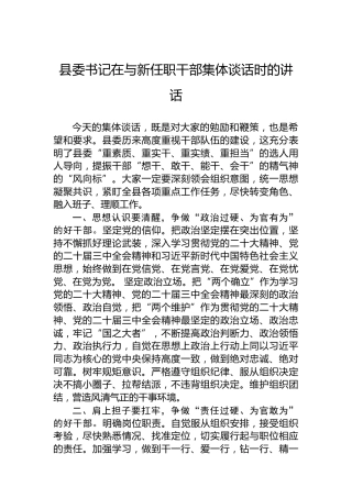 县委书记在与新任职干部集体谈话时的讲话