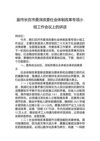 副市长在市委深改委社会体制改革专项小组工作会议上的讲话
