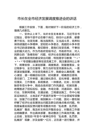 市长在全市经济发展调度推进会的讲话