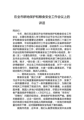 在全市耕地保护和粮食安全工作会议上的讲话
