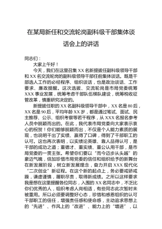 在某局新任和交流轮岗副科级干部集体谈话会上的讲话