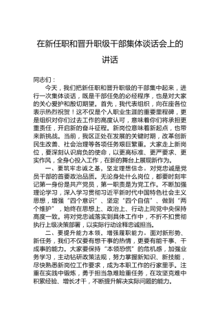 在新任职和晋升职级干部集体谈话会上的讲话