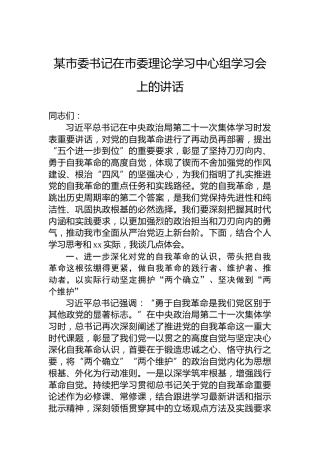 某市委书记在市委理论学习中心组学习会上的讲话