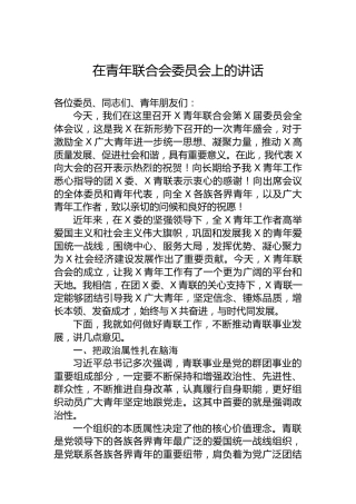 在青年联合会委员会上的讲话