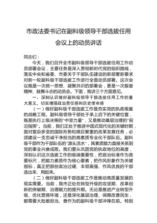 市政法委书记在副科级领导干部选拔任用会议上的动员讲话