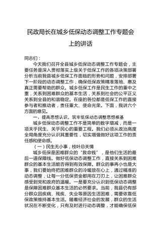 民政局长在城乡低保动态调整工作专题会上的讲话