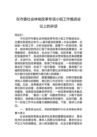 在市委社会体制改革专项小组工作推进会议上的讲话