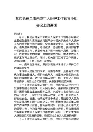 某市长在全市未成年人保护工作领导小组会议上的讲话
