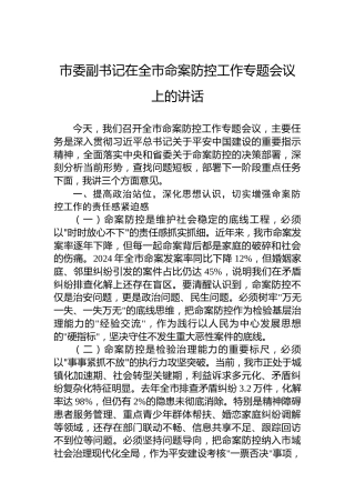 市委副书记在全市命案防控工作专题会议上的讲话