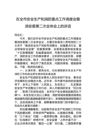 在全市安全生产和消防重点工作调度会暨消安委第二次全体会上的讲话