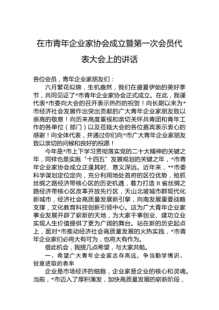 在市青年企业家协会成立暨第一次会员代表大会上的讲话
