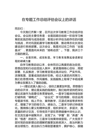 在专题工作总结评估会议上的讲话