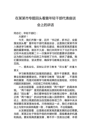 在某某市专题回头看暨年轻干部代表座谈会上的讲话