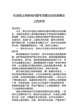 在违规占用耕地问题专项整治动员部署会上的讲话