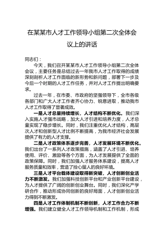 在某某市人才工作领导小组第二次全体会议上的讲话