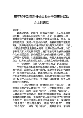 在年轻干部暨新任处级领导干部集体谈话会上的讲话