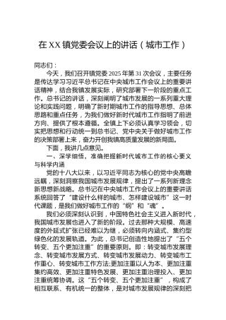 在XX镇党委会议上的讲话（城市工作）