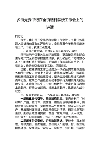 乡镇党委书记在全镇秸秆禁烧工作会上的讲话