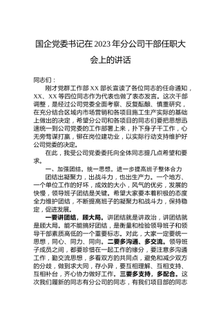 国企党委书记在2023年分公司干部任职大会上的讲话