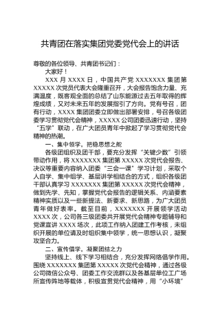 共青团在落实集团党委党代会上的讲话