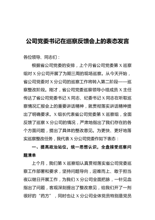 2021年公司党委书记在巡察反馈会上的表态发言