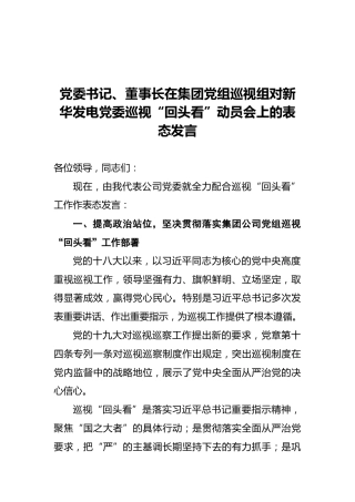 党委书记、董事长在集团党组巡视组对新华发电党委巡视“回头看”动员会上的表态发言