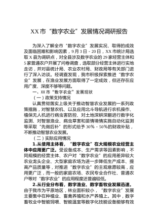 XX市“数字农业”发展情况调研报告