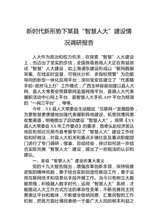 新时代新形势下某县“智慧人大”建设情况调研报告
